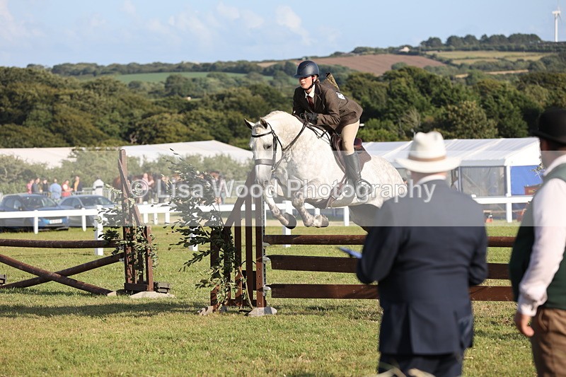 JPP_3425 - Class 22: Working Hunter 90cm