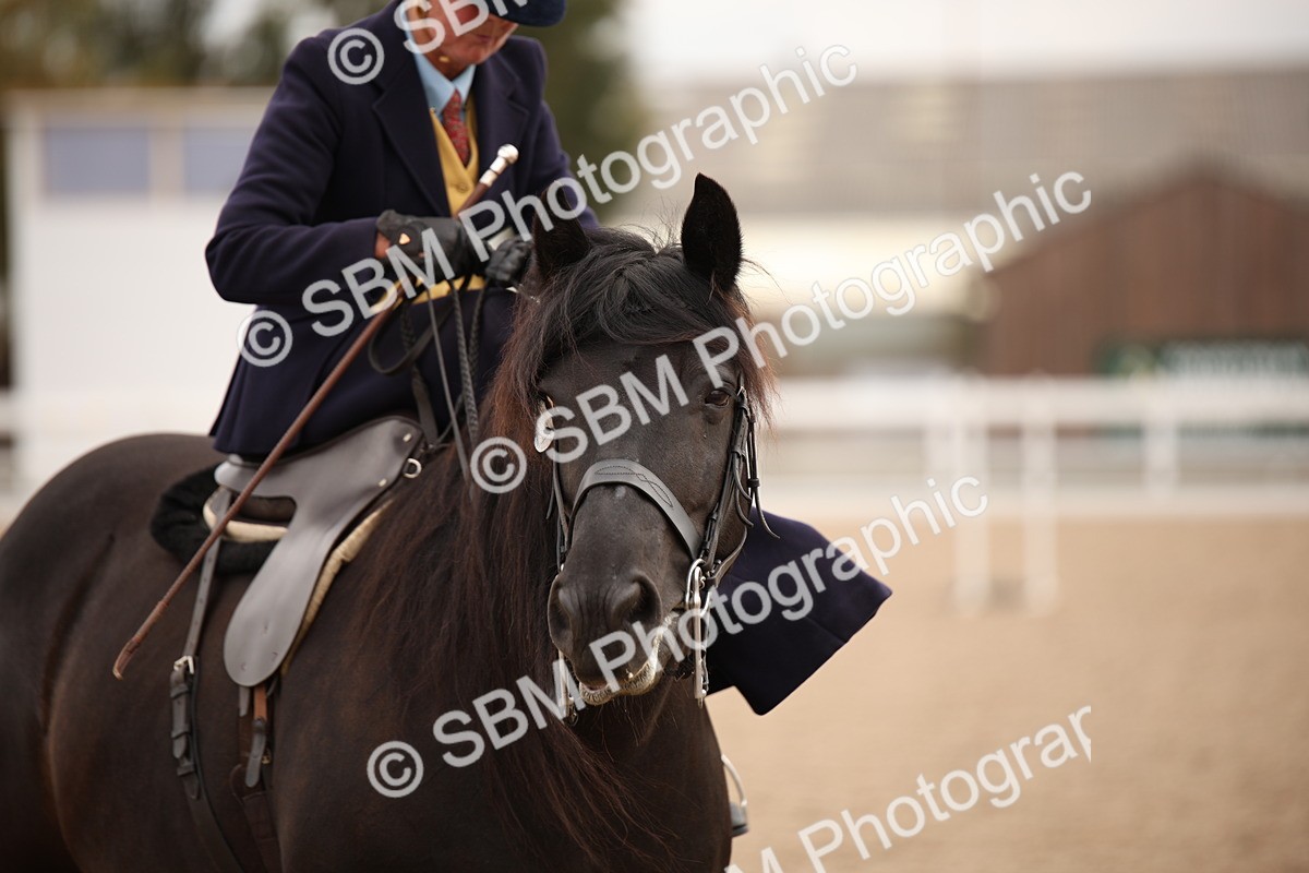 SBM_05394 - Class 22 SSA Equitation