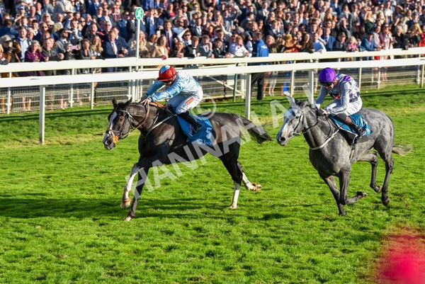 141023-Race 6-Punctuation-1505 - Race 6 4.10pm Coral Get Closer To The Action Handicap