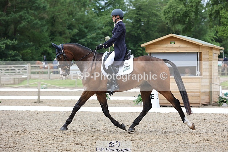 240523-104150-03377 - 214-DSH_GOLDEN_EYE-Lucinda_Mesquita