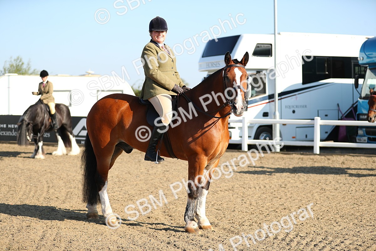 SBM_00431 - Class 41 Best Turned Out Ridden