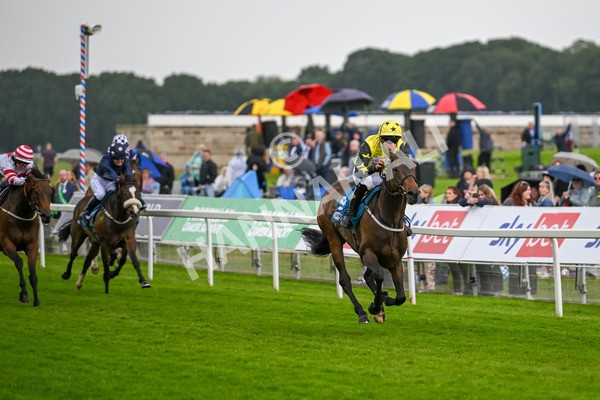 150624-F-Macmillan Ride Of Their Lives-6249 - 12.30pm Macmillan Ride of Their Lives