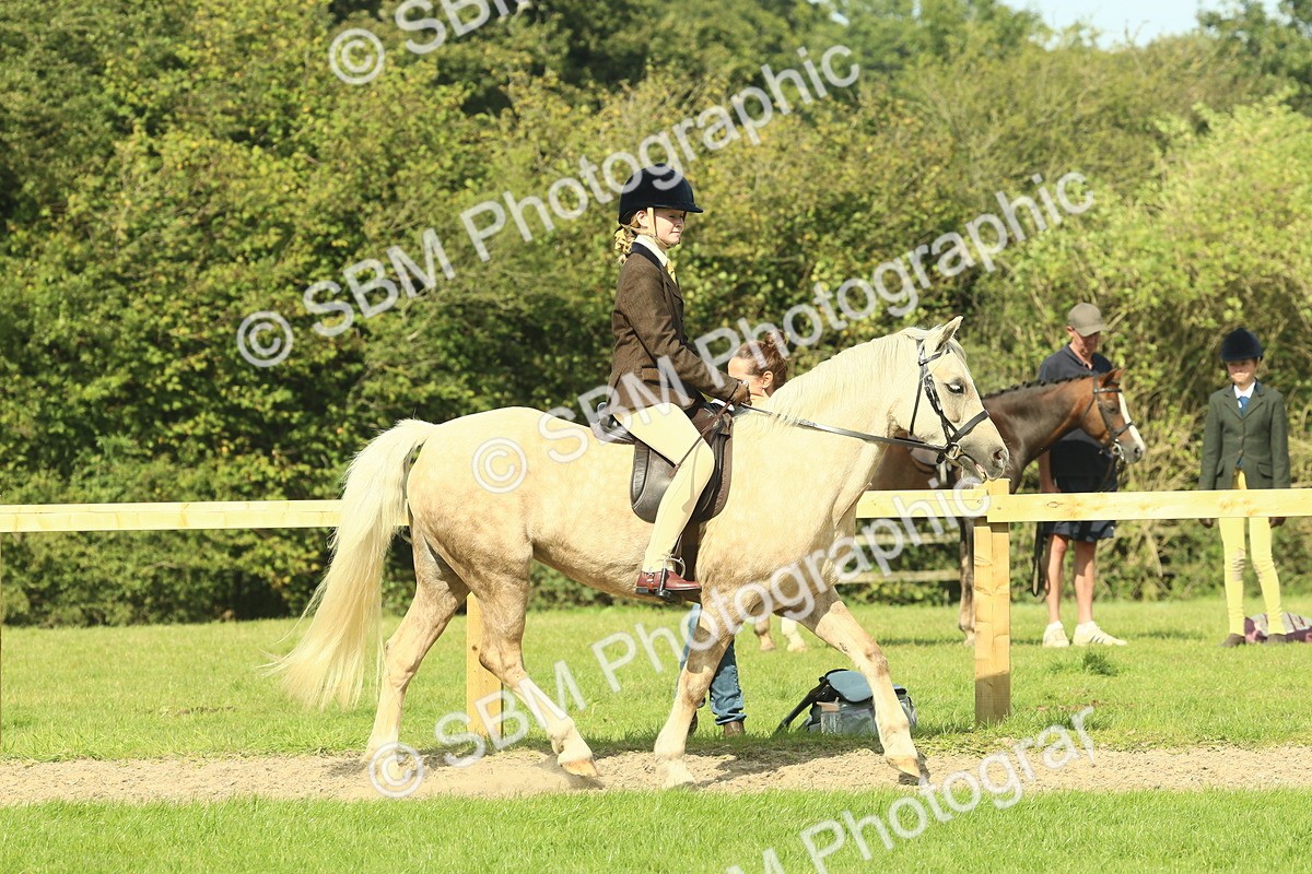 SBM_67417 - S56 - Coloured Pony Ridden