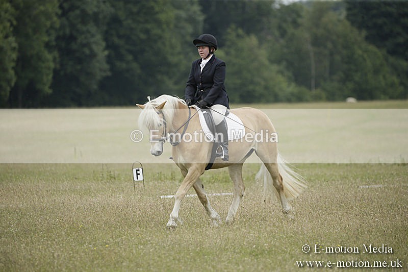 B230619-0611 - Bourne Valley Riding Club Summer Show 23/06/19