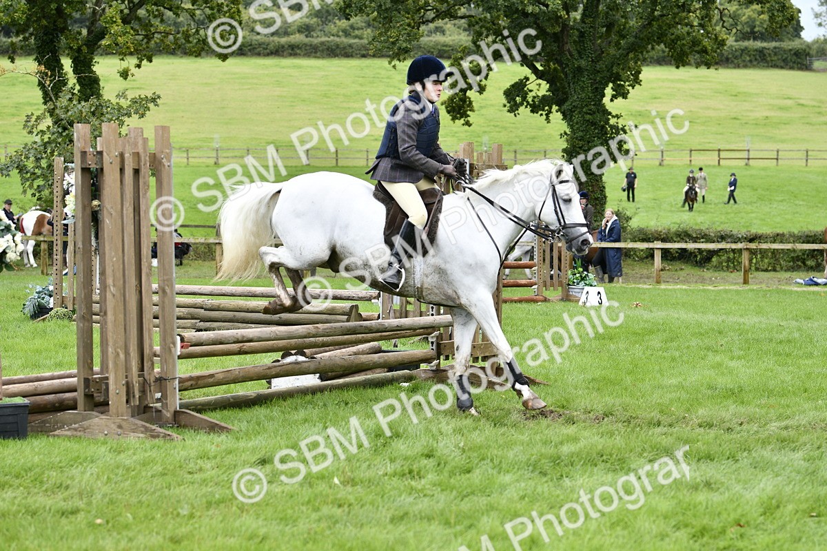 SBM_41306 - S32 - Mountain & Moorland Working Hunter Pony