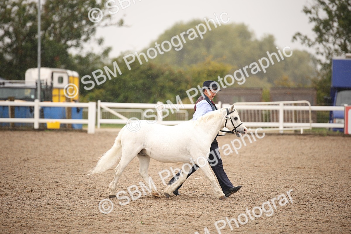 SBM_20695 - Class 705 - IH  Combination 65+