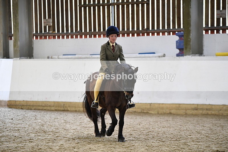 WJ5_6920 - Class 10 Childs Pony