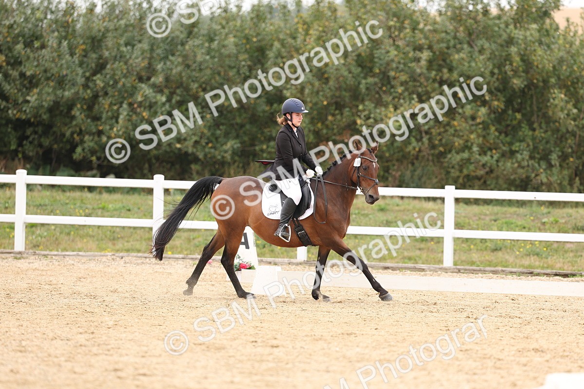 SBM_00906 - Class 8 - Novice 27 Champs