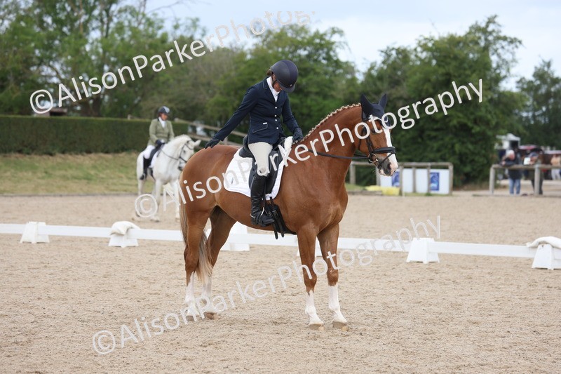 20250604-0481 - Class 3 - Novice 5