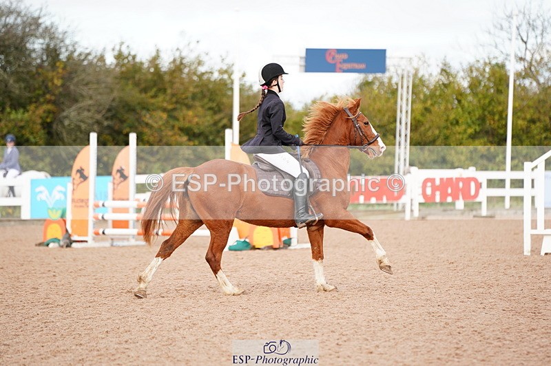241027A-101148-02030 - SUN Cls 4 Pony British Novice and 80cm