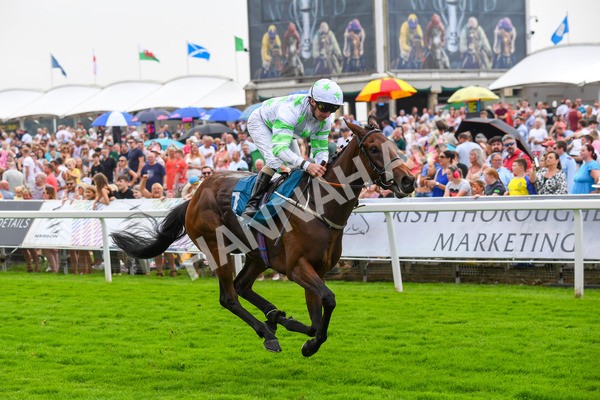 100923-Race 3-Yorkindness-0657 - Race 3 2.45pm Fine Details Vehicle Valeting Handicap