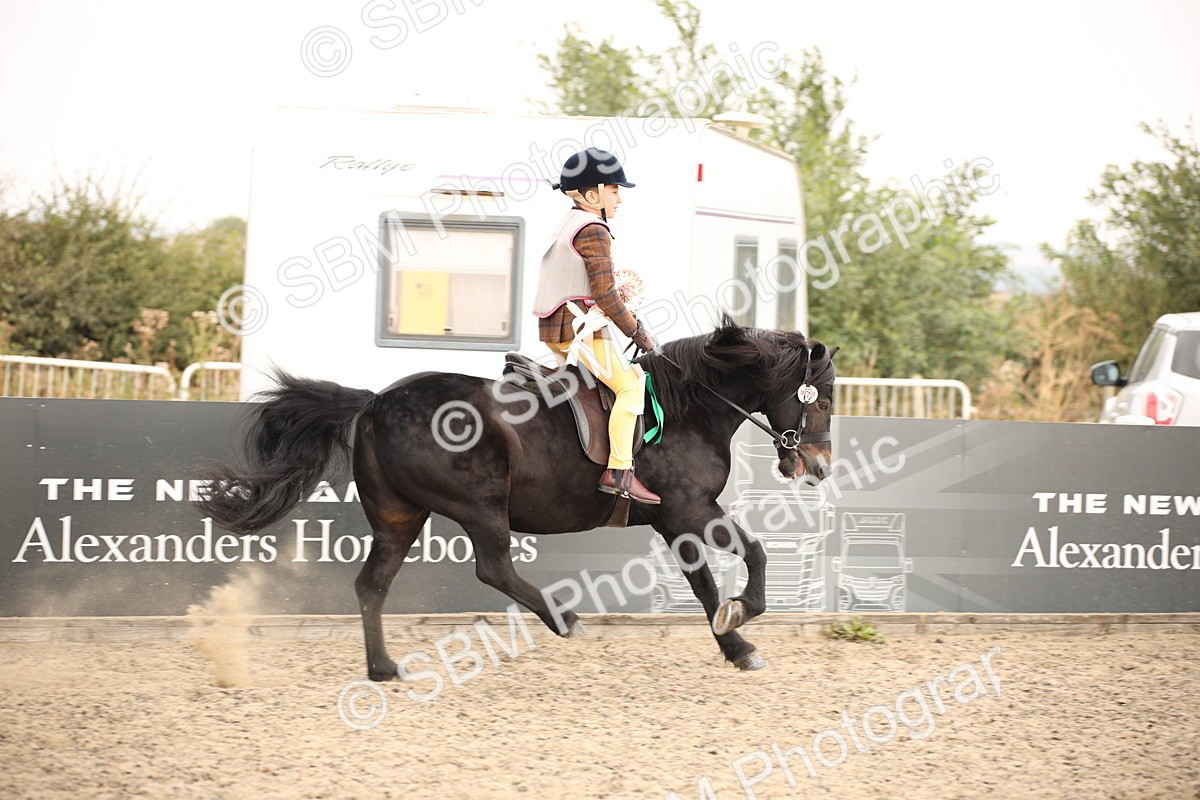 SBM_11743 - Class 404a Junior Working Veteran- 40cm (15-19)