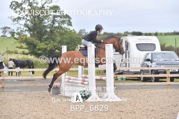 BPP_6829 - CLASS 1 Club/ Unaffiliated 80cms Open