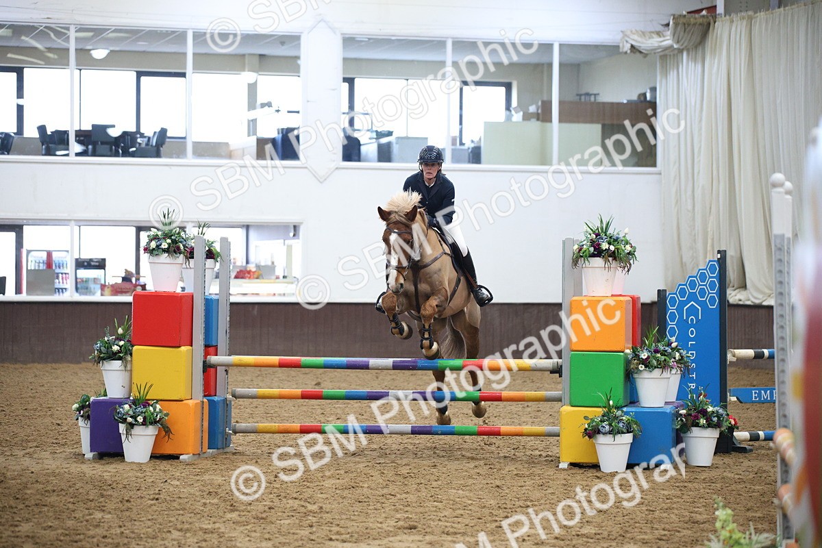 5K7A2953 - Class -1 - Equissage Pulse Senior BritiNovice/ 90cm Open