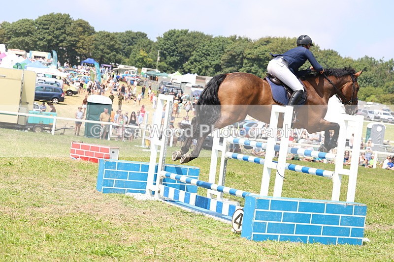 3E7A3398 - Class 10: Senior Foxhunter/1.20 open