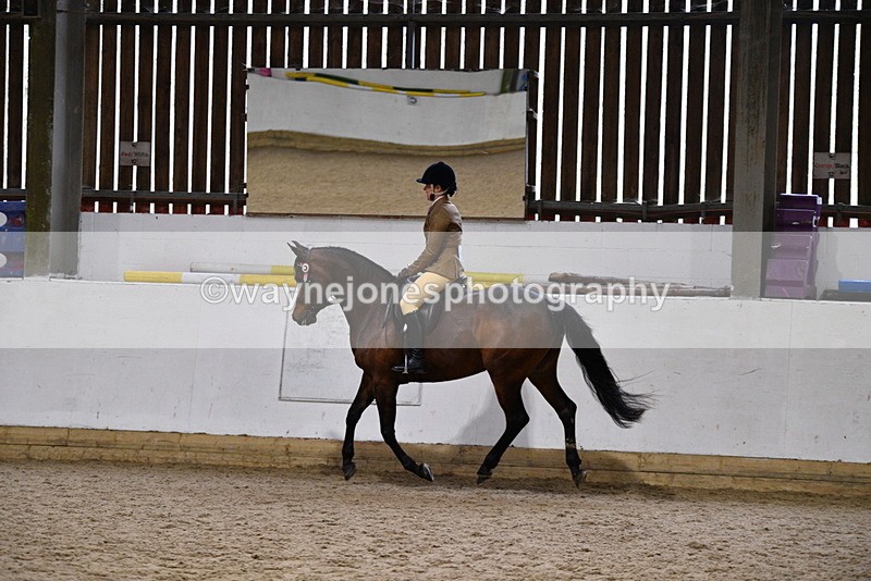 WJ5_8969 - Class 15 Ridden Show Horse