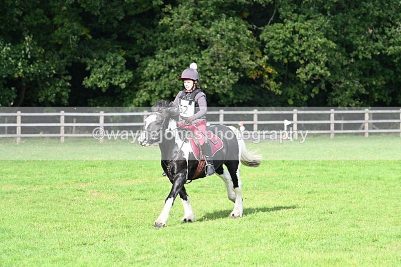 WJ7_3691 - 40cm Time 10:26 to 10:42