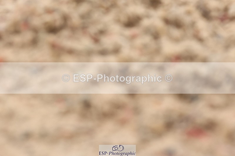 240622A-113951-09516 - Cls 27 BD Novice 37A