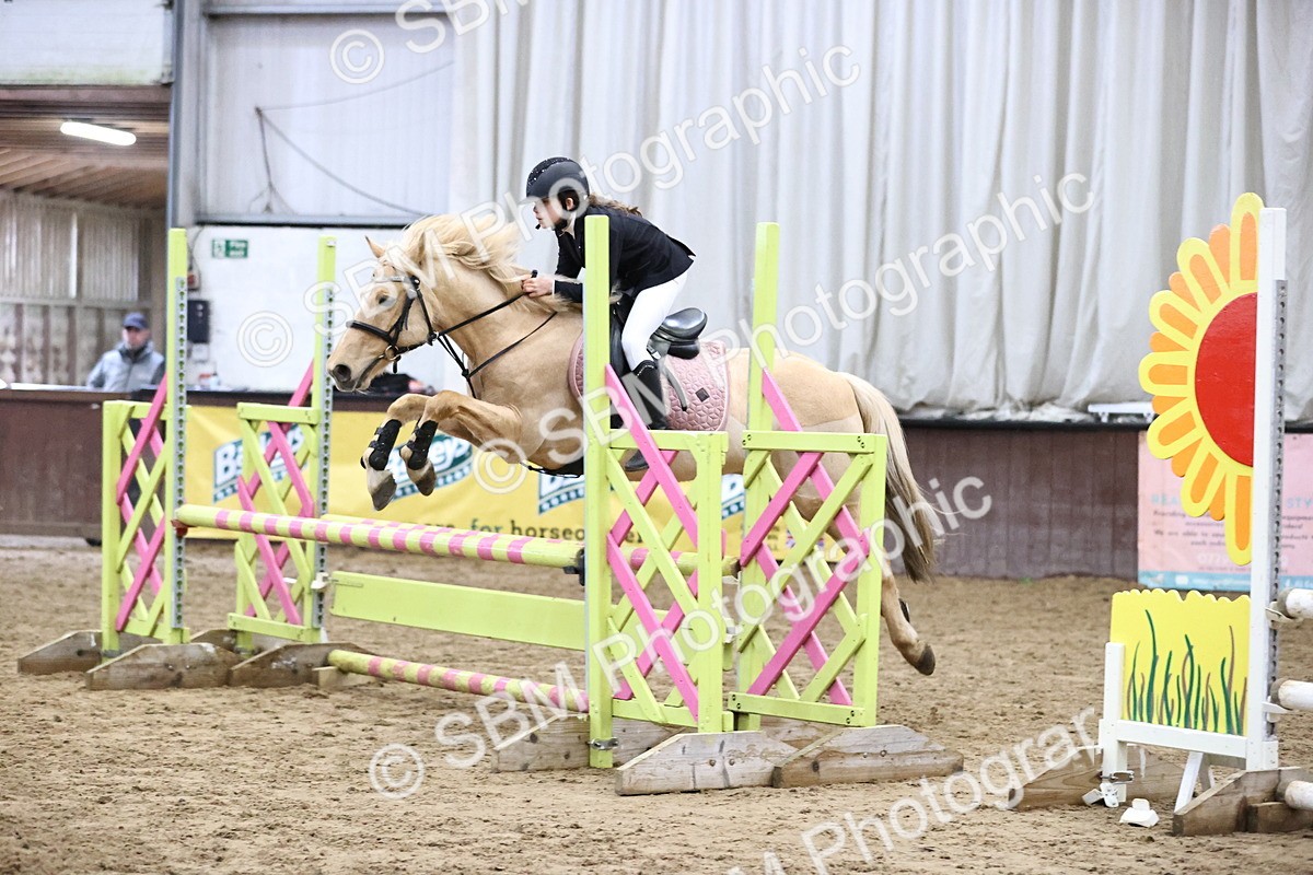 SBM_000346 - Class 2 - Pony British Novice - 80cm