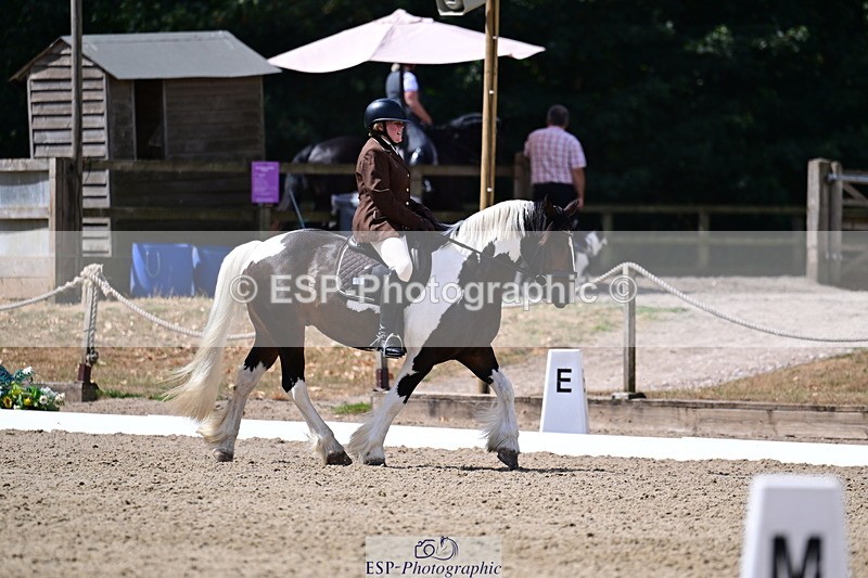 260802A-115150-06457 - Novice Bronze break - end