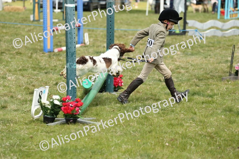 20250517-2995 - Class 25 - Horse & Hound