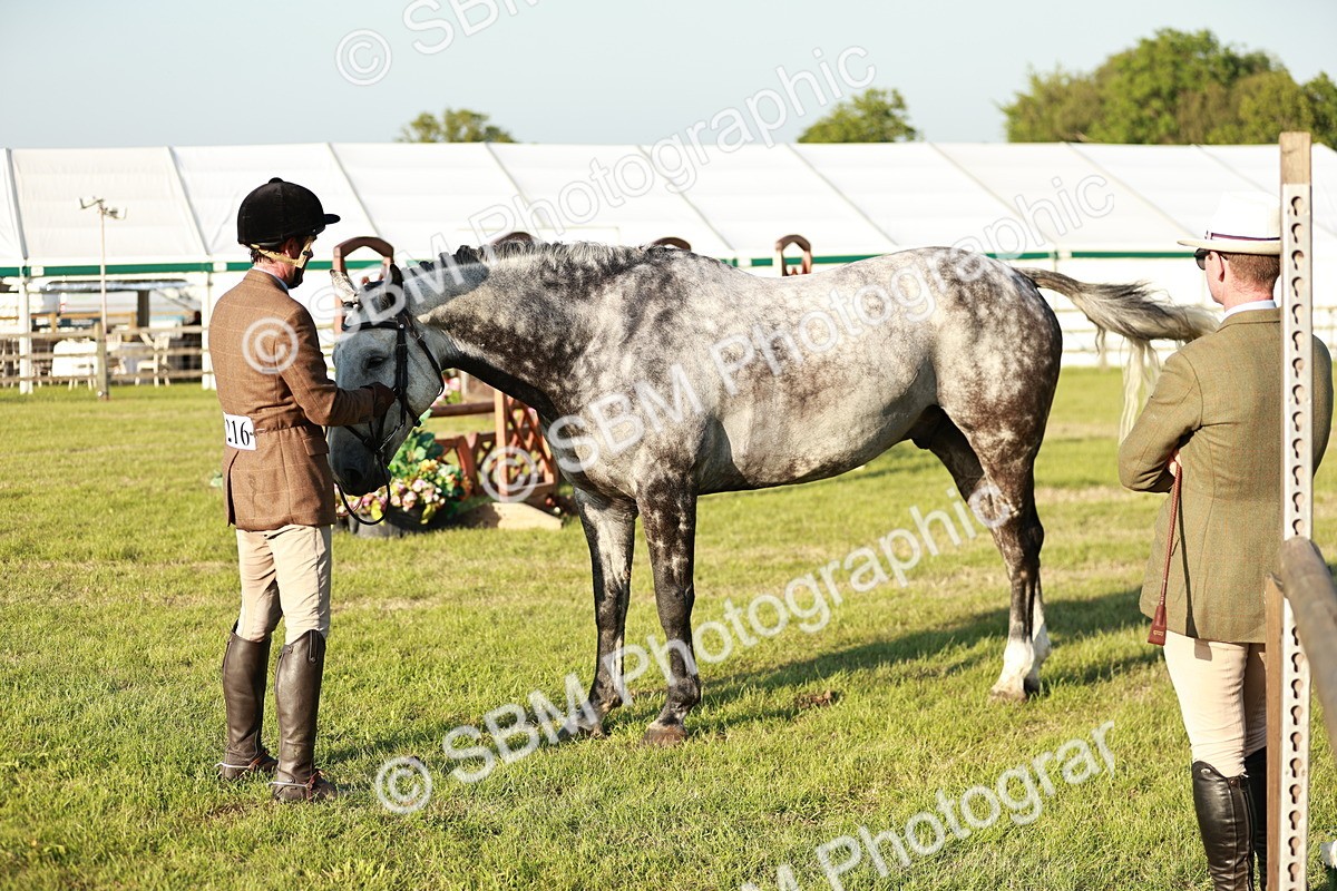 SBM_20518 - Class 117-119 - Sport Horse Working Hunter