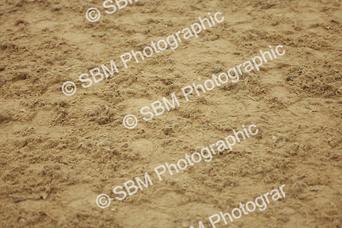 SBM_004888 - Class 6 - Chase Me Charlie