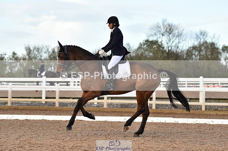 231104A-151020-02274 - Cls 14 Adv Medium 98