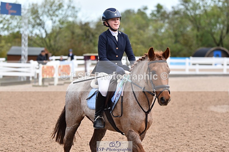 231029A-103238-02320 - 70cm Pony Intro