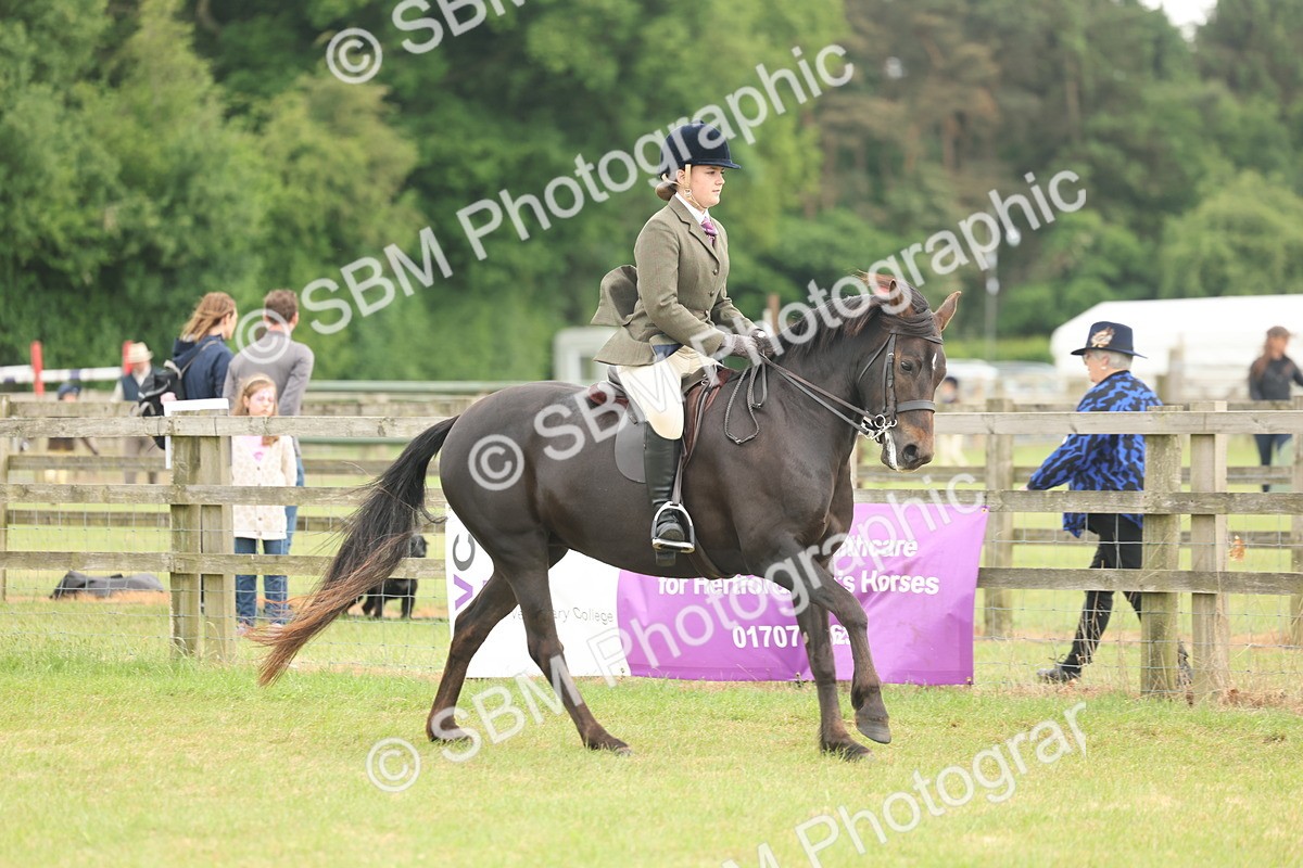 SBM_09078 - Class 78-80 - Ridden M&M Non Welsh Ponies