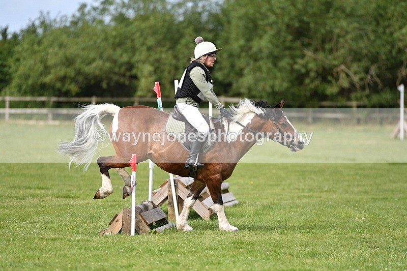 WJ5_2351 - Class 2 40cm