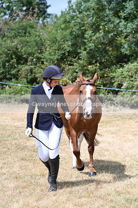 WJ7_1949 - Class 4a Prettiest Mare 14.2hh and over hand