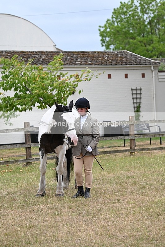 WJ6_8333 - Class 10 Coloured in Hand