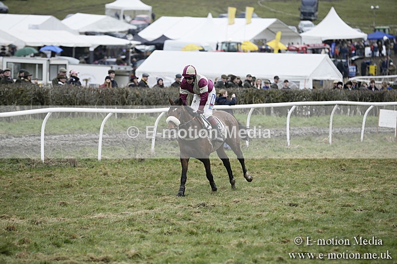 PtP 020418 -492 - Old Berks Point-to-Point Races Easter Monday 02/04/18