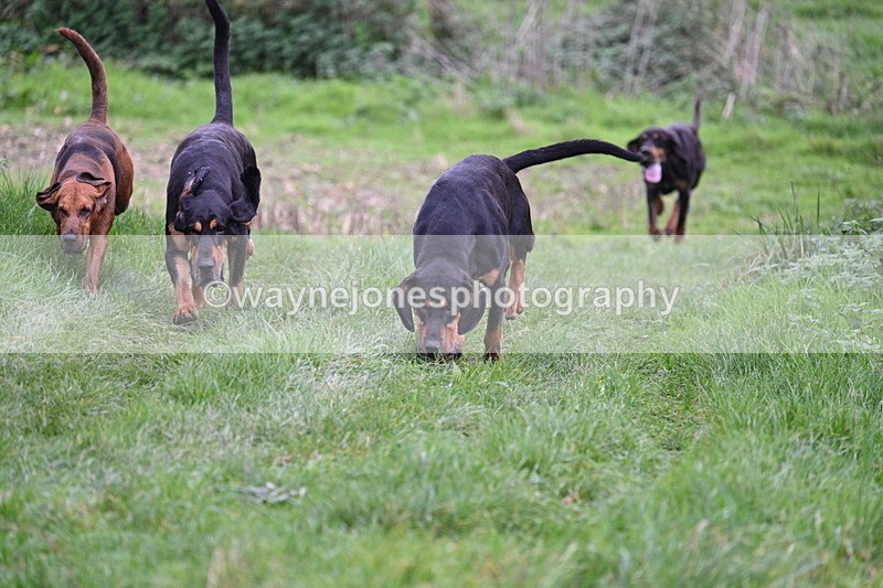 WJ7_8896 - Camera 1 only on this line