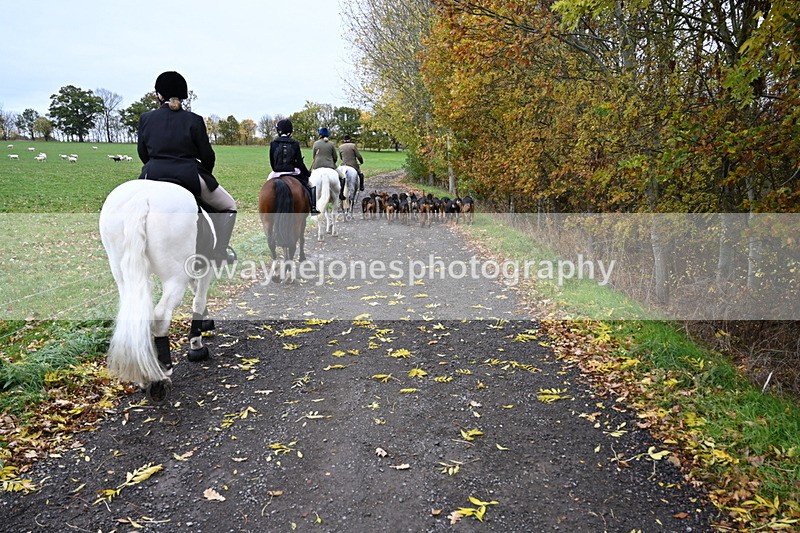 WJ6_9264 - Ride