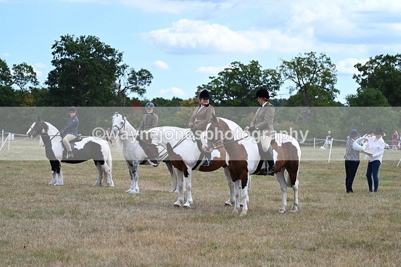 WJ7_5499 - Class 12 Ridden Cob