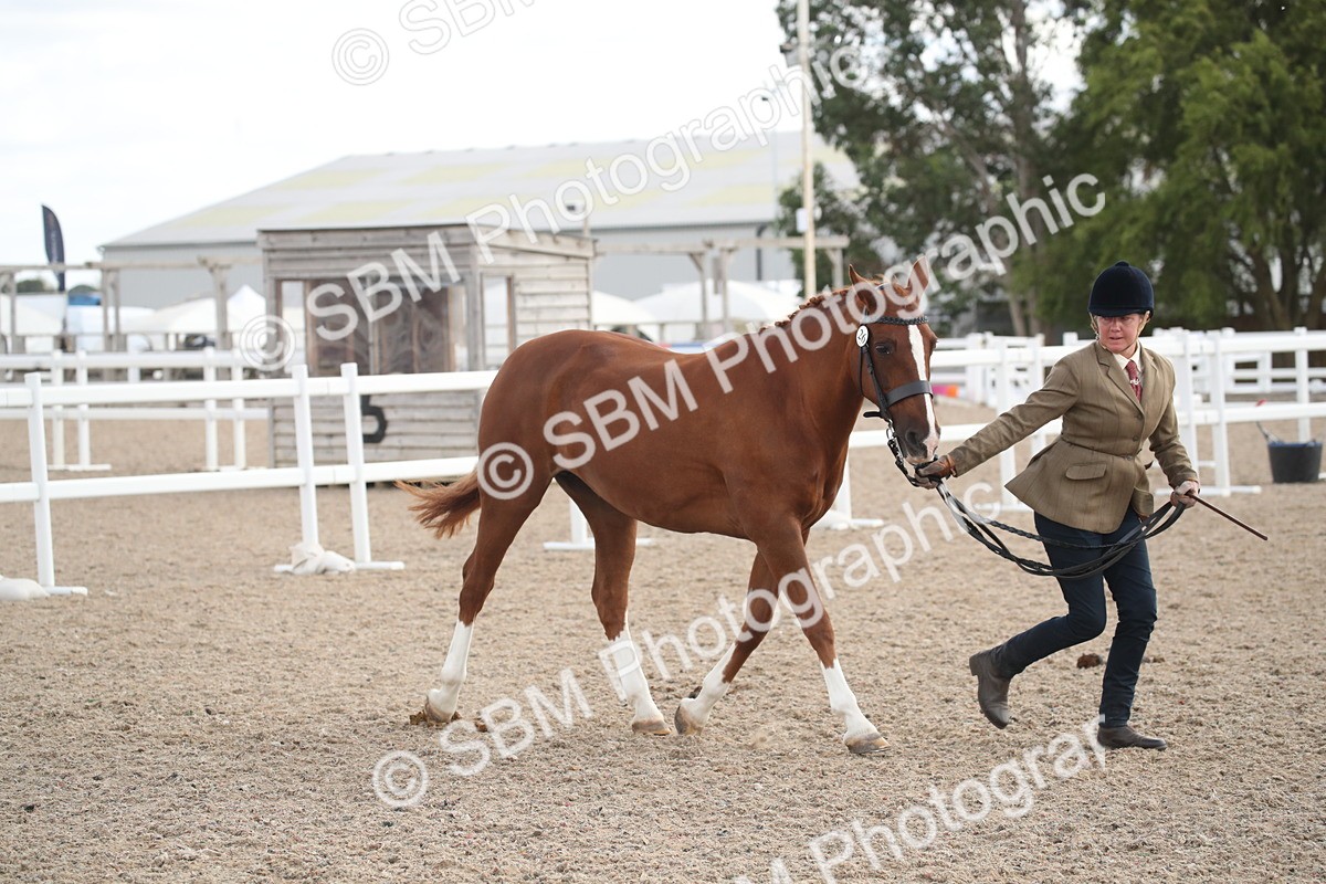 SBM_23449 - Class 604 - 2026 - Area IH Diamond