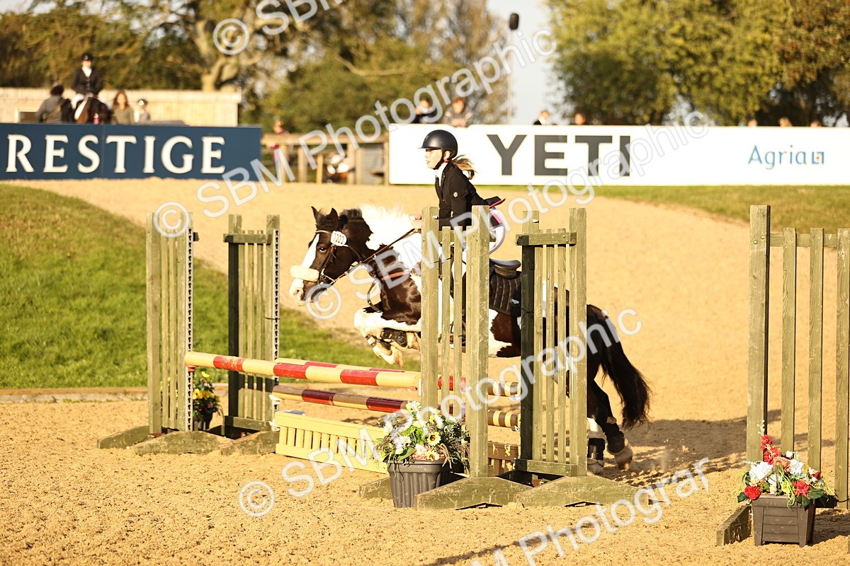 SBM_56000 - J10 - Junior Pony 75cm Championship