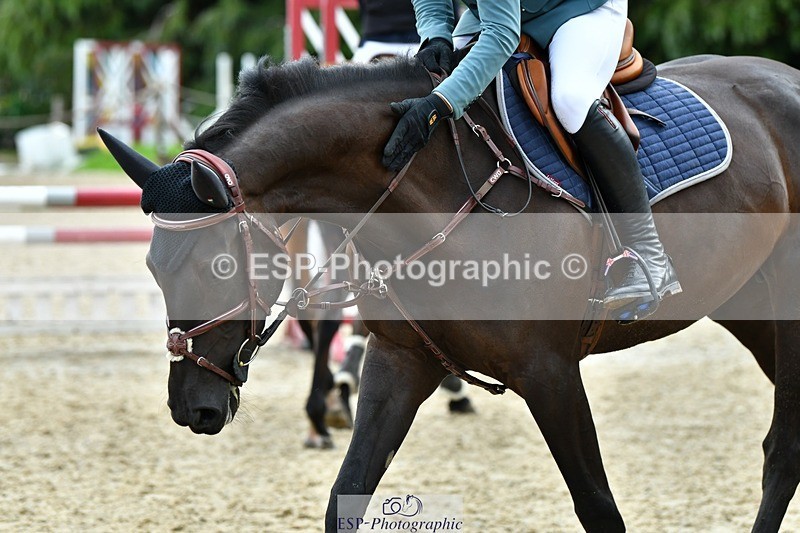 230715-095033-32360 - Cls 84 4 yr old Champ