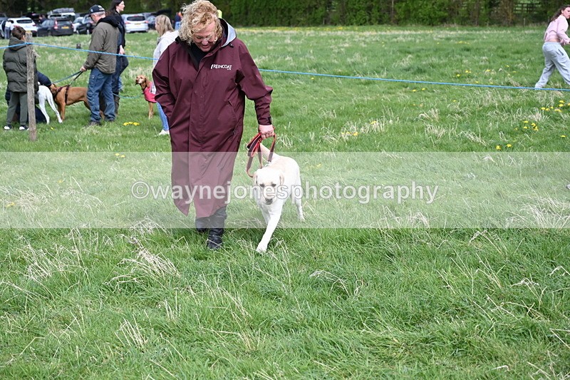 WJ6_8351 - Class 4 Prettiest Bitch