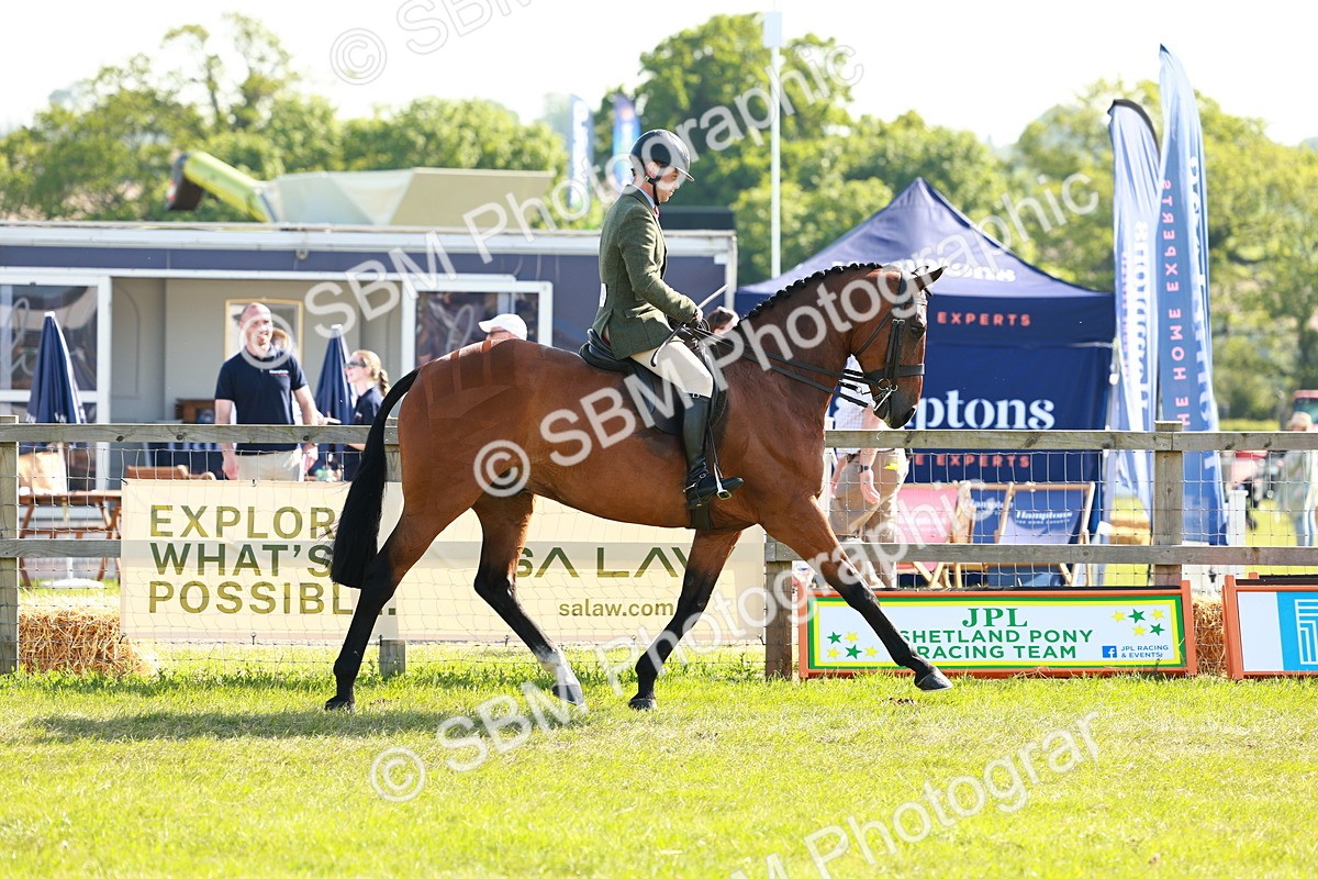 SBM_11876 - Class 66-69 - RIHS Ridden Hunters Inc Small Hunter