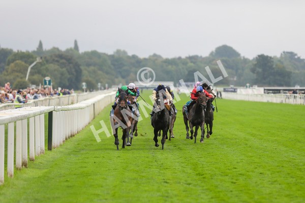 080924-Race 5-Quinault-4500 - Race 5 4.00pm Starman At Tally Ho Stud Garrowby Stakes