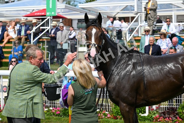 130625-Race 3-Easy Peeler-9169 - Race 3 3.00pm British EBF Supporting Racing With Pride Fillies' Handicap