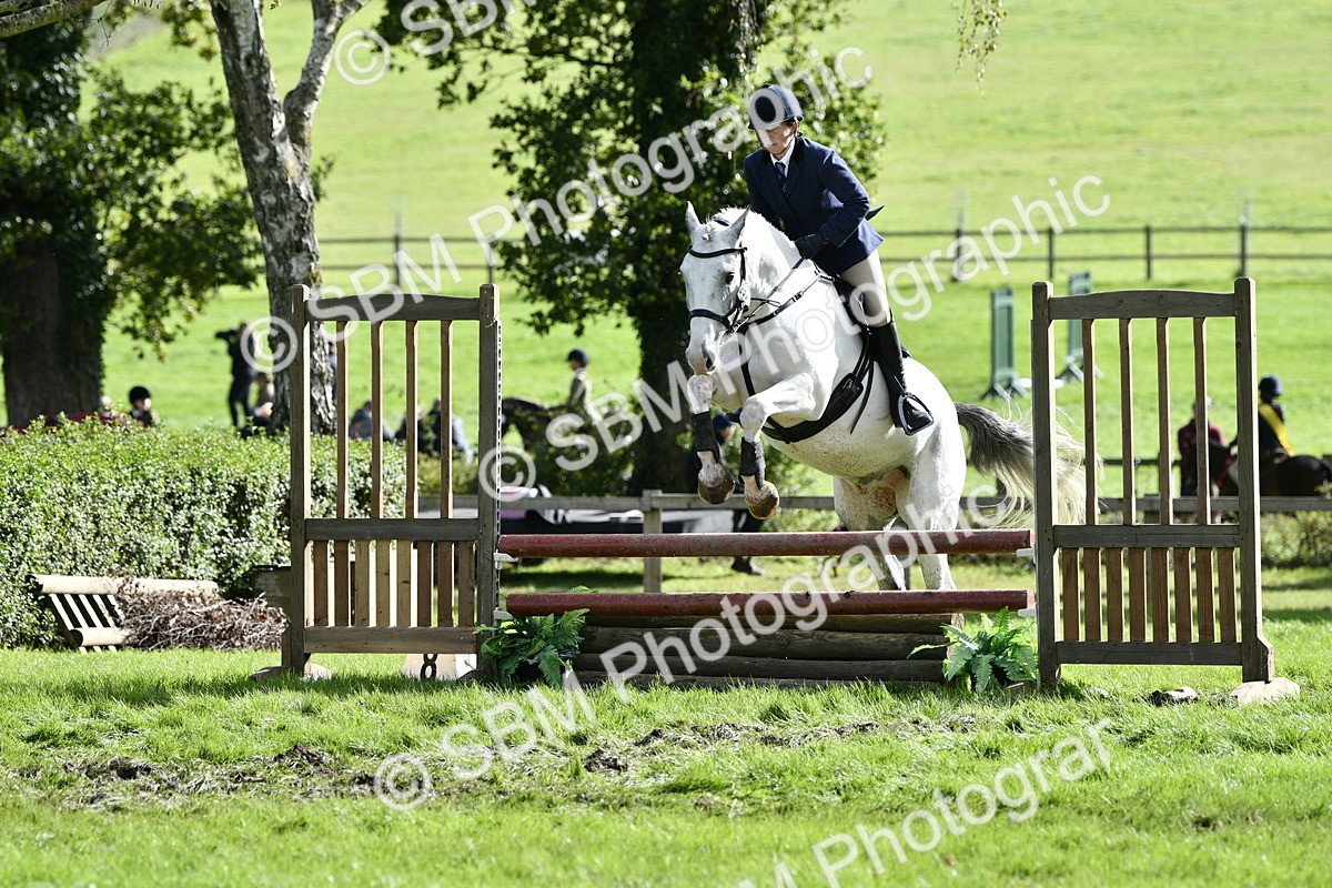 SBM_49971 - S34 - Novice & Newcomers Working Hunter
