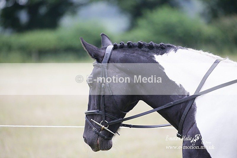 BVRC 030721 802 - Bourne Valley Riding Club Dressage 03/07/21