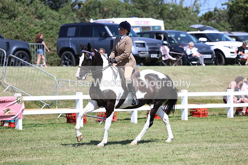3E7A7730 - Class 7: Open Riding Horse