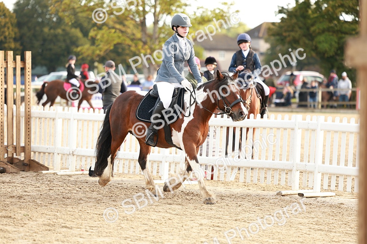 SBM_55461 - J11 - Junior Pony 50cm Championship