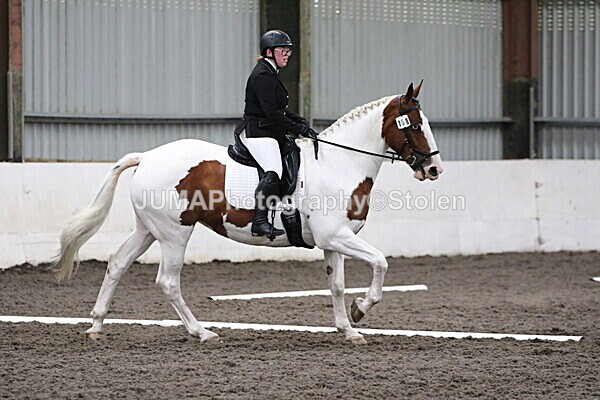 SIAL4532 - CAbin Dressage 5th july 2025
