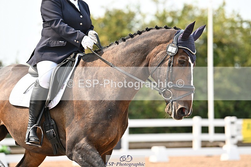 250816-151357-05796 - 130-Donna.BoydVagebond.vd.Withoeve.Z